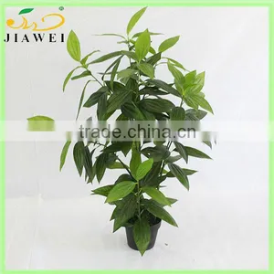 Make and Wholesale Cheap Artificial Plants thumbnail-1