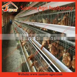 Automatic Chicken Egg Layer Cages Poultry Cage Chicken Layer Farm for Sale thumbnail-5