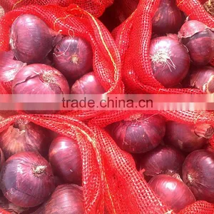 Red Onion Fresh Red Onion for Export thumbnail-3