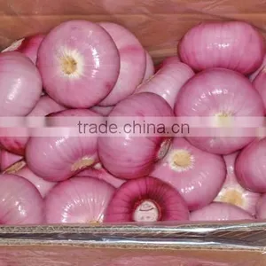 Fresh Red Onion 10kg Mesh Bag for Sales thumbnail-2