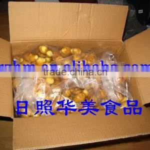 Chinese Fresh Ginger thumbnail-1
