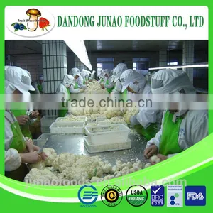 Hot Sale New Crop Fresh Cauliflower From China thumbnail-2