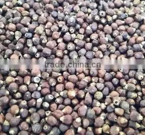 African Black Pepper thumbnail-1
