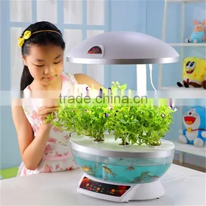 Large Fish Tank Aquarium thumbnail-4