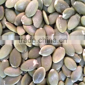 Shine Skin Pumkin Seeds Kernels Grade A From Inner Mongolia thumbnail-1