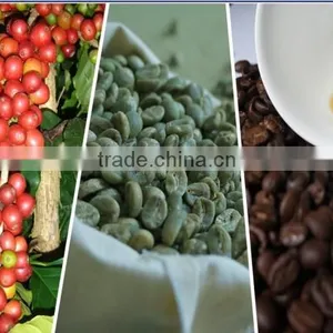 Spray Dried Instant Coffee thumbnail-3