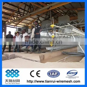 Hot Sale Good Quality Layer Chicken Cage For Poultry Farm thumbnail-4