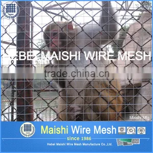 50mm Galvanized and Pvc Coated Chain Link Mesh thumbnail-3