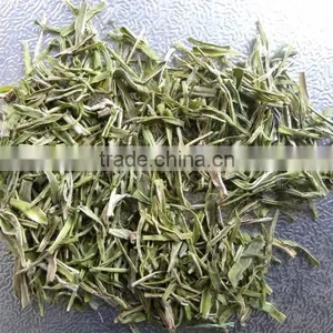 HONS+ BLACK / GREEN TEA COLOR SORTING MACHINE thumbnail-5