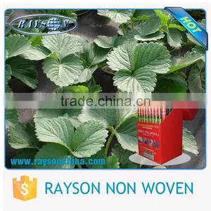 Black Small Roll Anti-UV Hydrophilic Garden Non Woven Fleece thumbnail-5