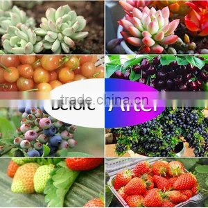 Plant Grow Light, Double Chips Super Bright Full Spectrum Hydroponic Plant Grow Lights for Indoor thumbnail-4
