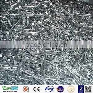 Common Nail Price of Iron Nail Factory thumbnail-3