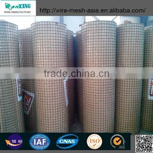 Anping Sanxing Factory Direct Product Square Wire Mesh /galvanized Wire Nettings thumbnail-1