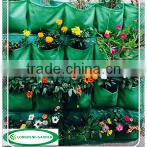 Garden Wall Planter,Vertical Hanging Pockets,Hanging Plant Bags,20 Pockets thumbnail-1