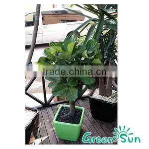 Square Plastic Flower Pots thumbnail-2