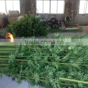 CHY030815 Artificial Bamboo/lucky Bamboo/fake Bamboo Poles thumbnail-3