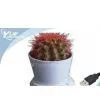 Intellectual USB Flowerpot thumbnail-1