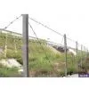Barbed Iron Wire thumbnail-1