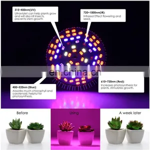 Smart 10W 30W 50W 80W Full Spectrum Led COB Plant Flower Grow Hydroponics Lamp Light thumbnail-7