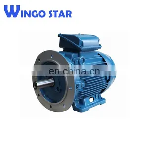 Single Phase & Three Phase AC Motor Electric Motor Belt Conveyor thumbnail-3