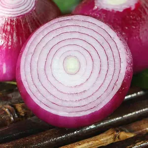 Fresh Onion thumbnail-2