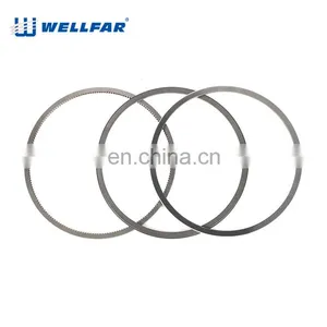 Wellfar PEUGEOT 206 Engine Parts Rings Piston 75mm For PEUGEOT 206 Engine thumbnail-5