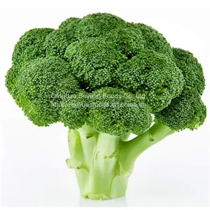 Frozen Vegetables thumbnail-1