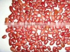 Red Kidney Beans thumbnail-1