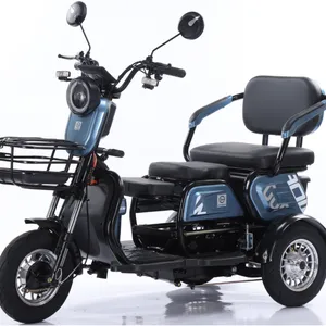 2025 Best 3 Wheel Passenger Tricycle Two Seat 48v Electric Tricycle Bike for Adults and Old People thumbnail-3