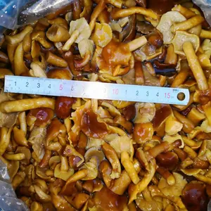 Nameko in Brine B Grade thumbnail-1