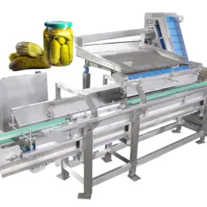 Professional Full Automatic Canned Pickles Vegetables Cucumber Production Line thumbnail-2
