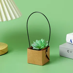 Cute Small Bag for Fleshiness Packaging thumbnail-2