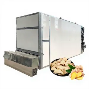 Heat Hump Ginger Dryer Mesh Belt Drying Machine Turmeric Continuous Onion Drying Equipment Dehydrator EPC thumbnail-1