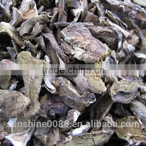 Dried Mushroom thumbnail-5