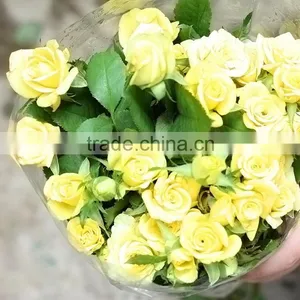 Popular Sprayed Rose Rose Flower Gold Decoration thumbnail-2