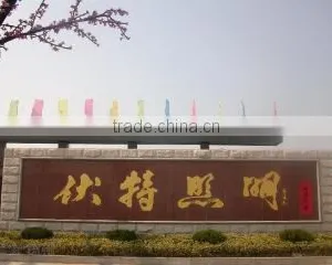 Jiangsu Fute Lighting Group Co., Ltd. company overview - view 1 thumbnail