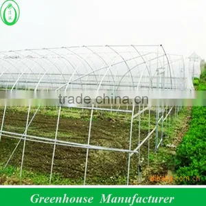 Economical Plastic Tunnel Greenhouse thumbnail-1