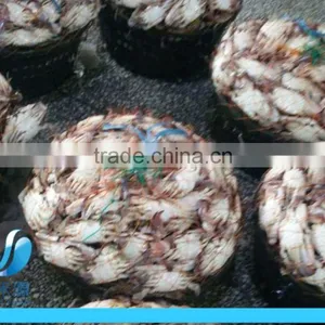 Frozen Blue Swimming Crab 100g -150g 150-200g thumbnail-2