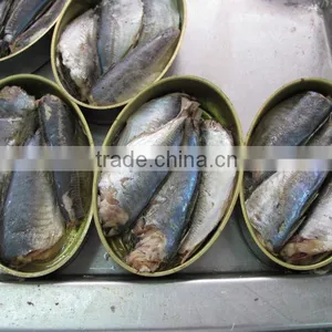 Oval Canned Sardine thumbnail-3