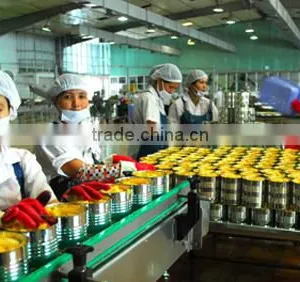 Queen Pineapples Slices in Light Syrup 3100ml x 6tins thumbnail-1