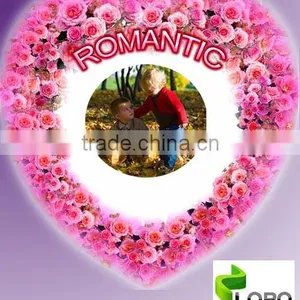 DIY Photo Balloon/Magic Photo Balloon thumbnail-1