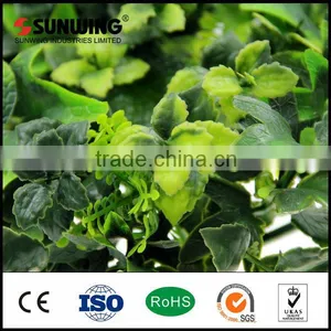SUNWING Artificial Vertical Garden Plant Fence Panels thumbnail-6