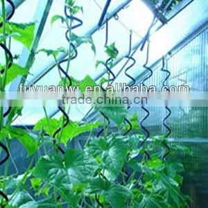 Golden Supplier Sell Tomato Spiral Stake Indoor Plant Support thumbnail-1