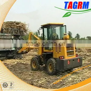 2014 China Hot Selling Mini Sugarcane Grab Loader/sugarcane Grab Loader Machine/sugarcane Grab Loading Machine ZLG16 thumbnail-1