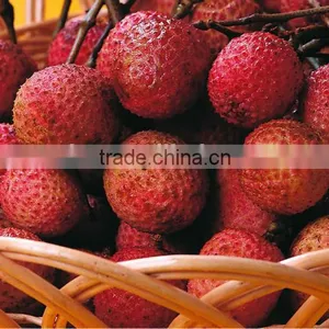 Canned Foodstuff Chinese Canned Lychee in Syrup thumbnail-5