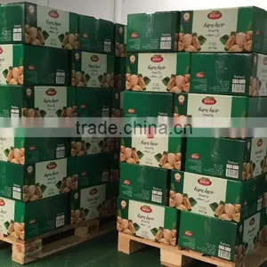 Turkish Dried Figs Lerida 5kg Bitat Brand thumbnail-2