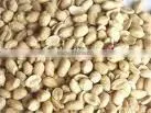 Bulk Roasted Peanut thumbnail-1