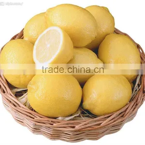 Chinese Lemon Supplier thumbnail-1