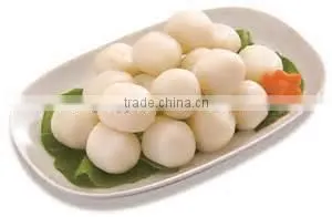 Soy Protein Isolated thumbnail-2