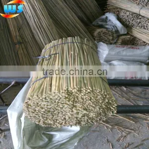 Bamboo Agriculture Products/Bamboo Cane Support Tree WS 60cm 8-10mm thumbnail-1